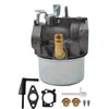 raseparter 591925 Carburetor Replacement for 698479 693518 698475 591925 Engine
