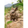Hi-Line Gift 87650-D Small Driftwood Rabbit Statue