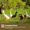 Purina Duck Feed for All Life-Stages, Nutritionally Complete (10 lbs)