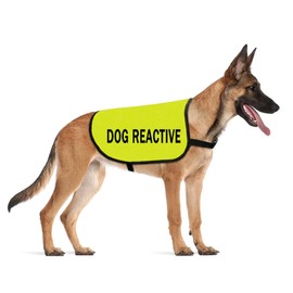 Reactive Jacket Vest for Dogs in Training - Service Dog Slogan Warning Vest (MEDIUM)