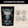 Creatina Monohidratada Micronizada Polvo 100 Alta Pureza Certificada Pre Workout
