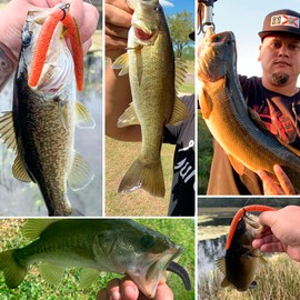 Bombrooster Fishing Soft Plastic Lures, 5 Inch Rubber Fishing Worms, Salt Impreatation Senko Worms for Bass Fishing (30 Pack)