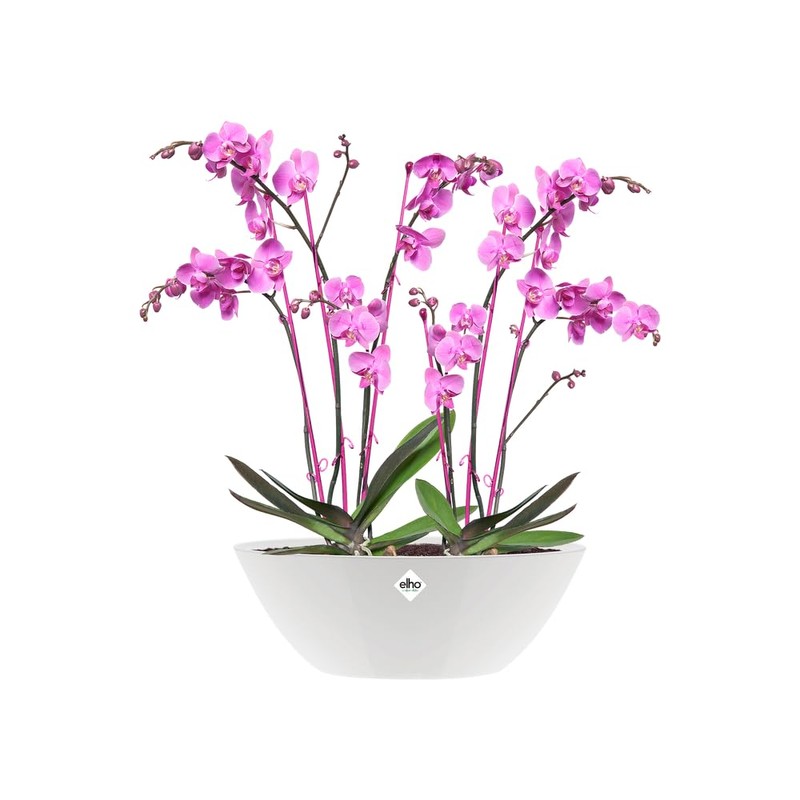 elho Brussels Diamond Oval 36 - Flower Pot for Indoor