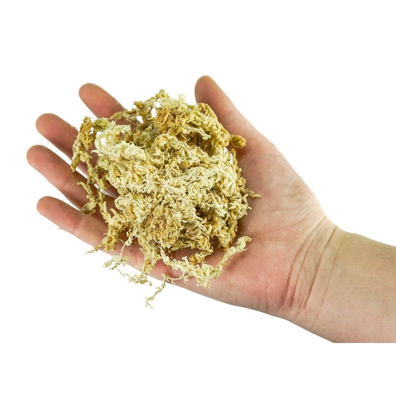 besgrow New Zealand Sphagnum Moss (1 kilogram),tan