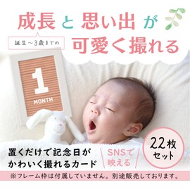 Monthly Cards, Baby, Set of 22 (With Message Writing on the Back), Monthly Photo, Moon Aged Card, Notebook Life, Made in Japan, Dull Color