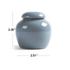 KnocKconK Mini Pet urn, Small Ceramic Ash Funeral Burial Box,