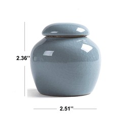 KnocKconK Mini Pet urn, Small Ceramic Ash Funeral Burial Box, Cremation Keepsake for Small Animals, Bird, Reptile, Rabbit, Hamster, Galesasur, Forever Memorials(Blue, Green, Cyan)