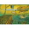 Tushita Salvador Dali The Disintegration Of The Persistence Art Postcard