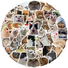 AUCEKO Pack of 50 Meme Cat Stickers Pack Cat Sticker Set Waterproof Vinyl Sticker for Laptop Children Cars Motorcycle Bicycle Skateboard Luggage Suitcase Computer Sticker Graffiti Decal