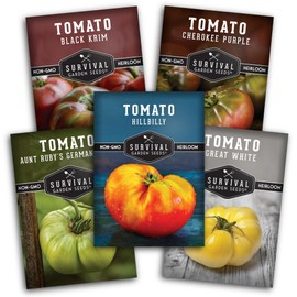Colorful Heirloom Tomato Seeds – 5 Variety Pack with Rare Non-GMO Tomatoes for Planting | Black Krim, Cherokee Purple, Hillbilly, Aunt Ruby’s Green, Great White - Survival Garden Seeds