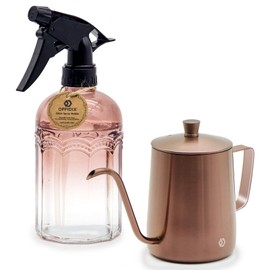 Watering Can for Indoor Plants Long Spout Metal Stainless Steel 21 oz/600 ml Small Watering Can with 14 oz/400ml Glass Plant Mister Spray Bottle for Plants Bonsai