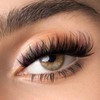 ThinkShow DIY Lash Nail Kit Bewitch 4 Styles Lashes Cluster