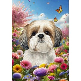 Shih Tzu Gold/White - Best of Breed Spring Butterfly Outdoor Garden Flag 12" x 17" Mailbox Flag Dog Flag