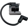 IGCLINIC 35135 Ignition Coil for PM0525303 Coleman Powermate 6250 Generators