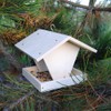 Bird House Kit to Build and Design Yourself Wiemann Lehrmittel