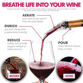 Jwalin Wine Aerator and Pourer – Premium Air Decanter Spout to Enhance Wine Flavor & Aroma, No-Drip Wine Pourer Spout for Red & White Wines, Perfect Gift for Wine Lovers