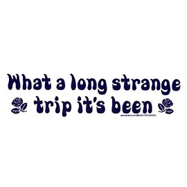 What A Long Strange Trip It's Been - Magnetic Bumper Sticker/Decal Magnet (9" X 2.5")