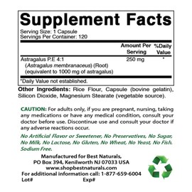 Best Naturals Astragalus Extract 1000 Mg Capsules (120 Count (Pack of 3))
