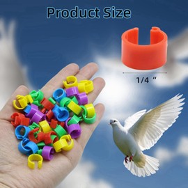 DoubleWood Baby Poultry Leg Bands 1/4" Medium Chick, 200 Pcs Coturnix Quail Leg Bands Baby Chick Leg Bands Pigeon Bands Chicken Leg Bands Rings (Medium 1/4")