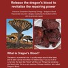Dragon's Blood Face Cream Retinol Placenta Whitening Brightening Moisturizing Anti-wrinkle