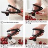 Cherry Pitter Tool, Cherry Pit Remover Tool, Cherry Picker, Fruit