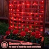 QITONG 4 Pack Solar Fairy Lights, Each 33ft 100 LED