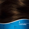 Deluxe Tinte Permanente 4 Castaño