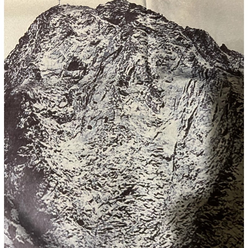 Ofat Home Photo Backdrop Or Wall Tapestry