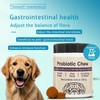 Probiotics for Dogs, Support Gut Health, Occasional Diarrhea, Digestive Health