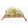 Napping Sleeping Puppy on Pillow Collectible Figure, 4-inch, (1-pc Random)