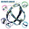 2 Hounds Design - Freedom No-Pull Harness & Training Leash