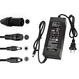 UL Certified 54.6V 2A Fast Electric Bike Charger for 48V Ebike Battery - Compatible with Lectric XP 2.0/3.0, Ecotric City/Beach, Evercross H5/H7