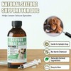 Seizure Support Liquid for Dogs & Cats 100 mL |