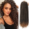 Smilco 24-Inch Spring Twist Hair - 6 Packs Passion Twist