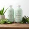 Shampoo Orgánico Artesanal Sábila Romero Verbena Kit 2pzs