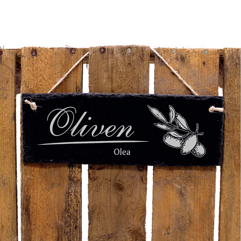 Engraved Slate Sign - Olive Tree - Garden Decorative Sign