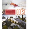 The Modern Homesteader's Guide to Keeping Geese