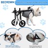 BECROWM Small Dog Wheelchair for Back Legs, Light Weight Dog&Cat&Pets