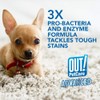 OUT! Advanced Stain and Odor Remover - Pet Stain and