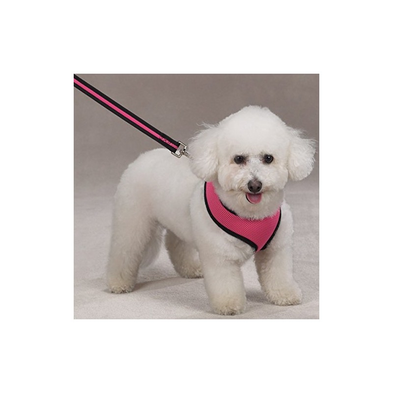 Casual Canine Mesh Dog Harness, X-Small, Pink