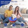 Bilibara Dog Cone Alternative After Surgery Inflatable Recovery Collar-L