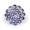 2.70 Carat Genuine Tanzanite .925 Sterling Silver Ring