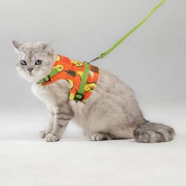 Patipatron Cat Harness and Leash Set, Cats Escape Proof - Adjustable Kitten Harness for Large/Medium/Small Cats, Walking Travel Petsafe Harness (Avocado, Small)