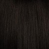 Vivica A. Fox Hair Collection LBPB-VIOLET, Bang & Bun, Quick