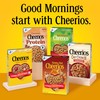 Strawberry Banana Cheerios, Heart Healthy Gluten Free Breakfast Cereal, Made