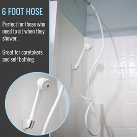 HealthSmart Modern Handheld Shower Head with 6 Foot Hose, Detachable, Unfinished