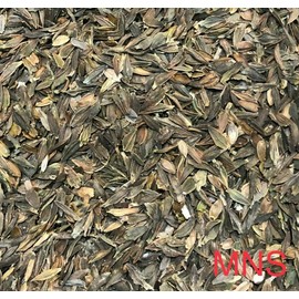 Mother Nature's Seeds Zinnia elegans RED CACTUS GIANT Huge 4-5" Blooms! Cut Flowers Non-GMO 100 Seeds!