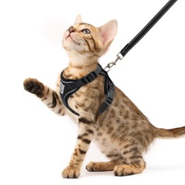 PUPTECK Cat Harness and Leash Set Escape Proof Reflective Cat Walking Harness Adjustable Soft Breathable Mesh Vest for Small Pets, Black, XS