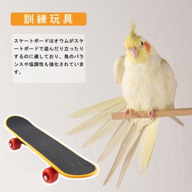 ZHEJIA Bird Toy, Mini Skateboard Toy, Pet Supplies, Educational Education, Parrots, Birds, Parakeets, Training, Stress Relief, Black