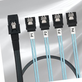 IYUANEPRO Mini SAS to SATA Cable, 36-Pin SFF-8087 to 4X SATA 7-Pin, 3.3 Feet